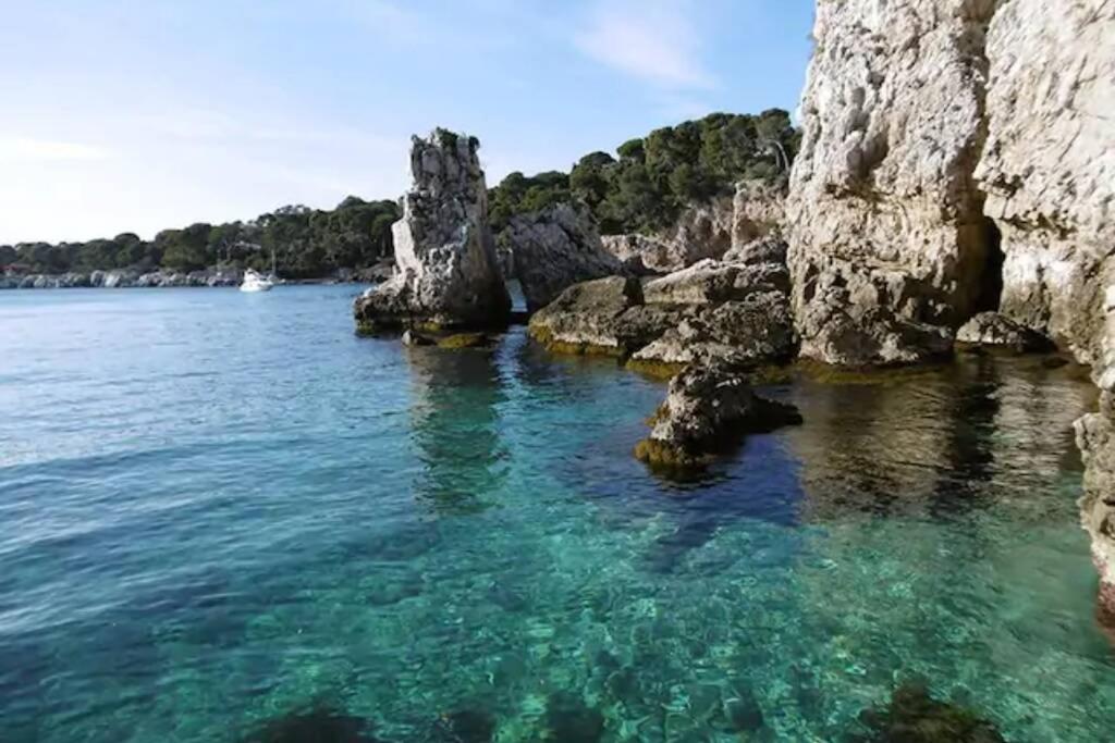 Coeur De Juan, Calme, 300M Plages - Easy Check-In Antibes Dış mekan fotoğraf