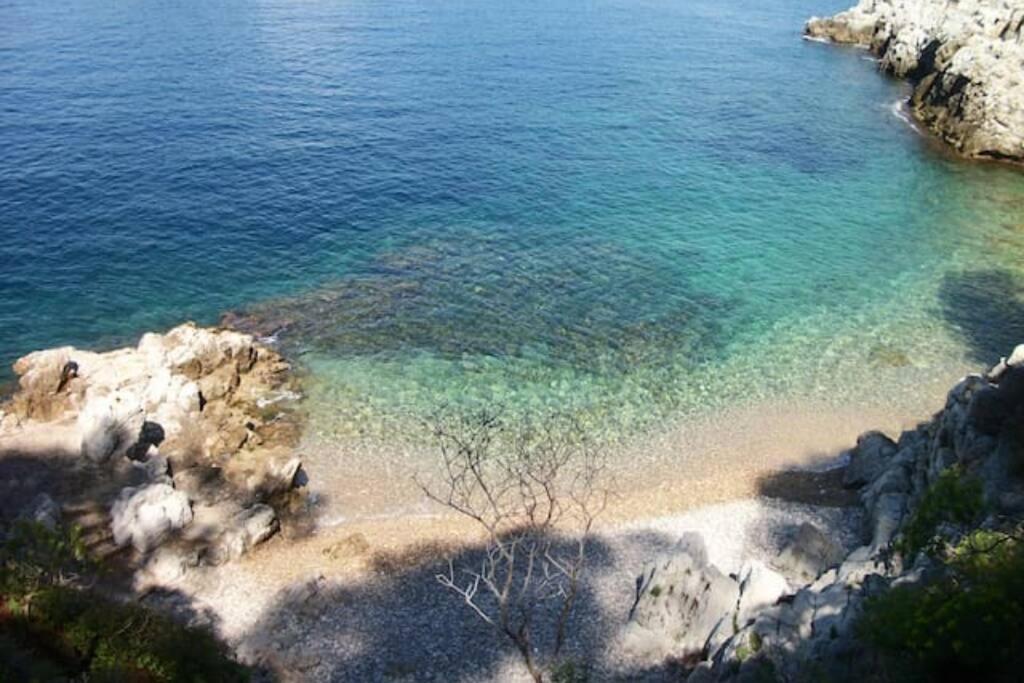 Coeur De Juan, Calme, 300M Plages - Easy Check-In Antibes Dış mekan fotoğraf